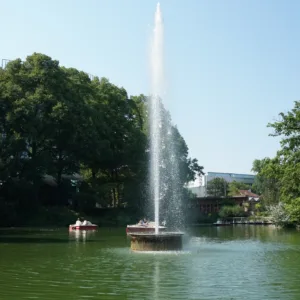 Simfonie Acvatică în Verde Smarald